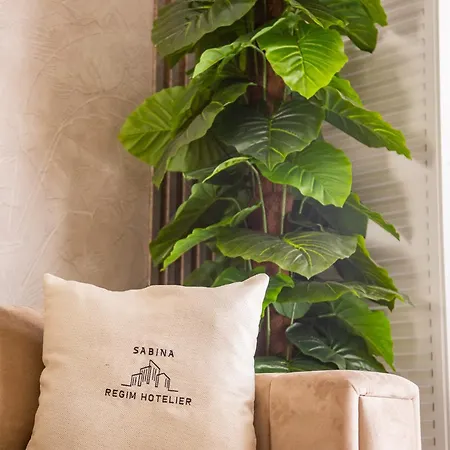 דירה Exclusive Elite 31 בוקרשט