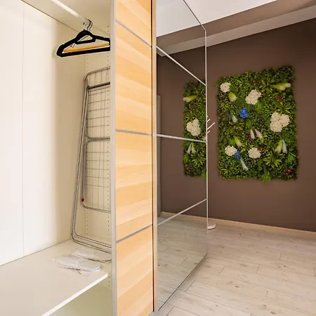 Exclusive Elite 31 *